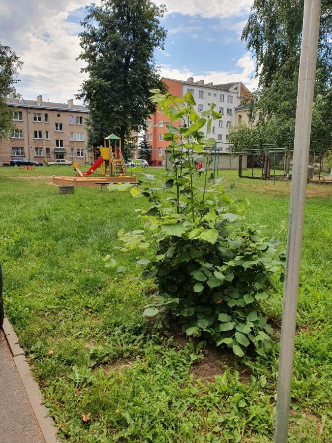Apartament Erfolg 6 Νταουγκαβπίλς Εξωτερικό φωτογραφία